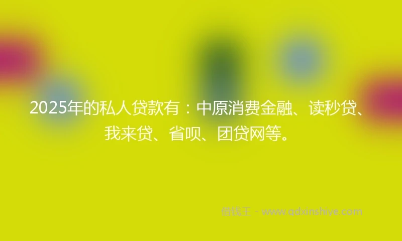 2025年的私人贷款有：中原消费金融、读秒贷、我来贷、省呗、团贷网等。