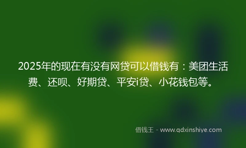 2025年的现在有没有网贷可以借钱有：美团生活费、还呗、好期贷、平安i贷、小花钱包等。