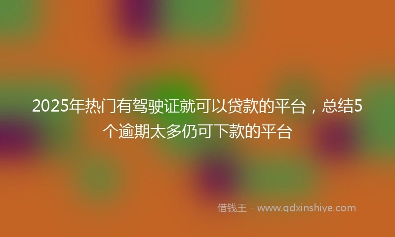 2025年热门有驾驶证就可以贷款的平台，总结5个逾期太多仍可下款的平台