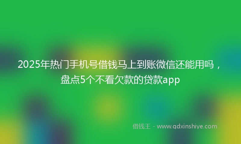 2025年热门手机号借钱马上到账微信还能用吗，盘点5个不看欠款的贷款app