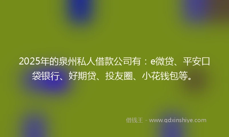 2025年的泉州私人借款公司有：e微贷、平安口袋银行、好期贷、投友圈、小花钱包等。