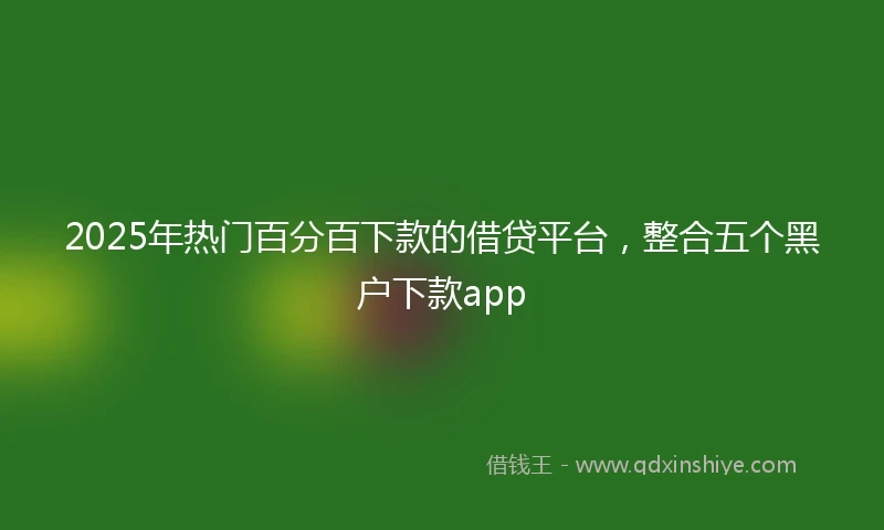 2025年热门百分百下款的借贷平台，整合五个黑户下款app