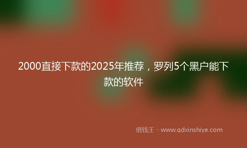 2000直接下款的2025年推荐，罗列5个黑户能下款的软件