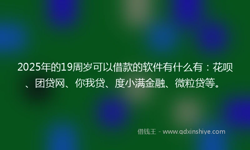 2025年的19周岁可以借款的软件有什么有：花呗、团贷网、你我贷、度小满金融、微粒贷等。