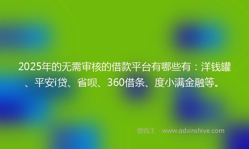 2025年的无需审核的借款平台有哪些有：洋钱罐、平安i贷、省呗、360借条、度小满金融等。