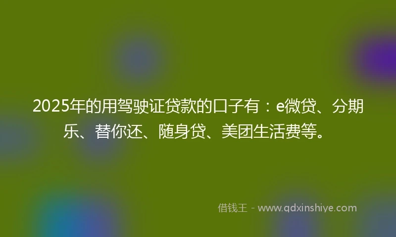 2025年的用驾驶证贷款的口子有：e微贷、分期乐、替你还、随身贷、美团生活费等。