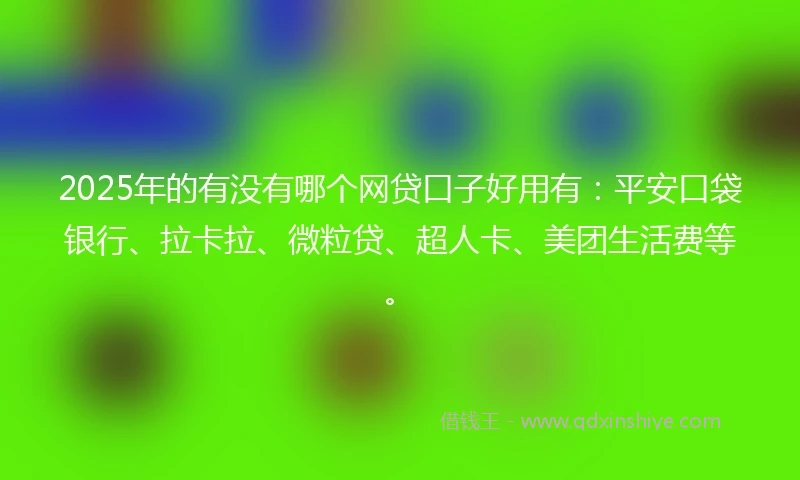 2025年的有没有哪个网贷口子好用有：平安口袋银行、拉卡拉、微粒贷、超人卡、美团生活费等。