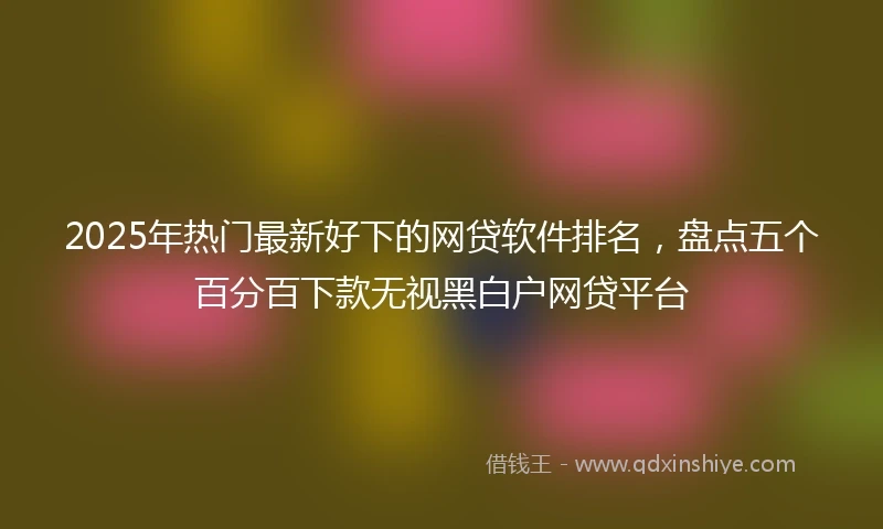 2025年热门最新好下的网贷软件排名，盘点五个百分百下款无视黑白户网贷平台
