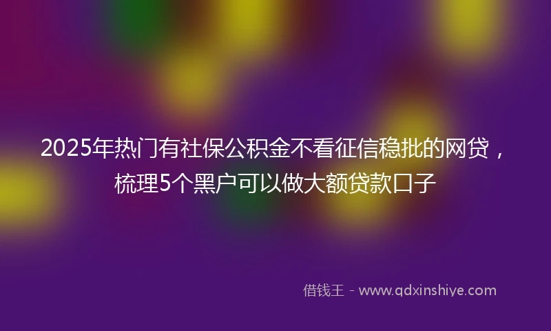 2025年热门有社保公积金不看征信稳批的网贷，梳理5个黑户可以做大额贷款口子