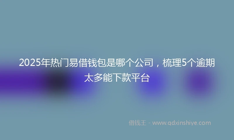 2025年热门易借钱包是哪个公司，梳理5个逾期太多能下款平台