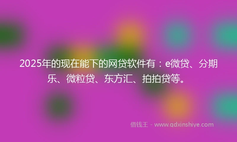2025年的现在能下的网贷软件有：e微贷、分期乐、微粒贷、东方汇、拍拍贷等。