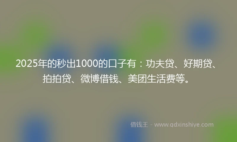 2025年的秒出1000的口子有：功夫贷、好期贷、拍拍贷、微博借钱、美团生活费等。