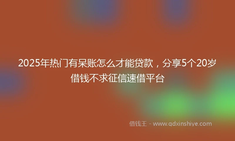 2025年热门有呆账怎么才能贷款，分享5个20岁借钱不求征信速借平台