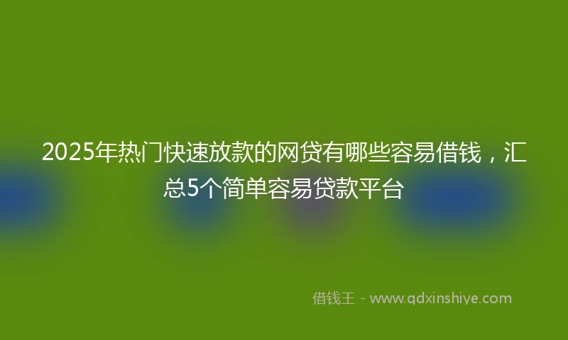 2025年热门快速放款的网贷有哪些容易借钱，汇总5个简单容易贷款平台