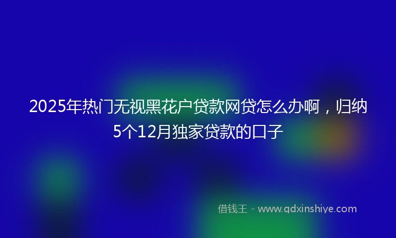2025年热门无视黑花户贷款网贷怎么办啊，归纳5个12月独家贷款的口子