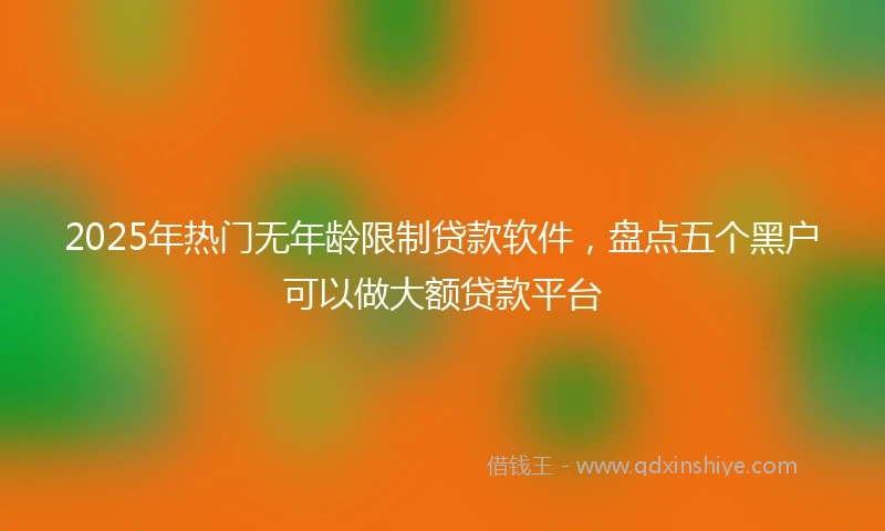 2025年热门无年龄限制贷款软件，盘点五个黑户可以做大额贷款平台