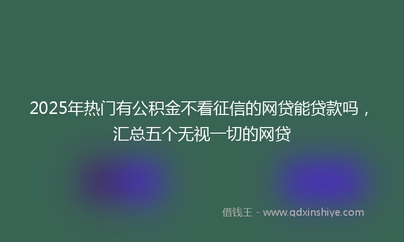2025年热门有公积金不看征信的网贷能贷款吗，汇总五个无视一切的网贷