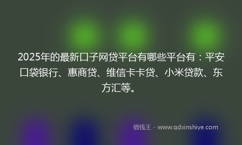 2025年的最新口子网贷平台有哪些平台有：平安口袋银行、惠商贷、维信卡卡贷、小米贷款、东方汇等。