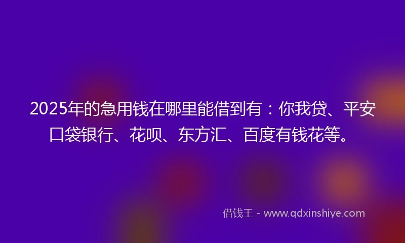 2025年的急用钱在哪里能借到有：你我贷、平安口袋银行、花呗、东方汇、百度有钱花等。