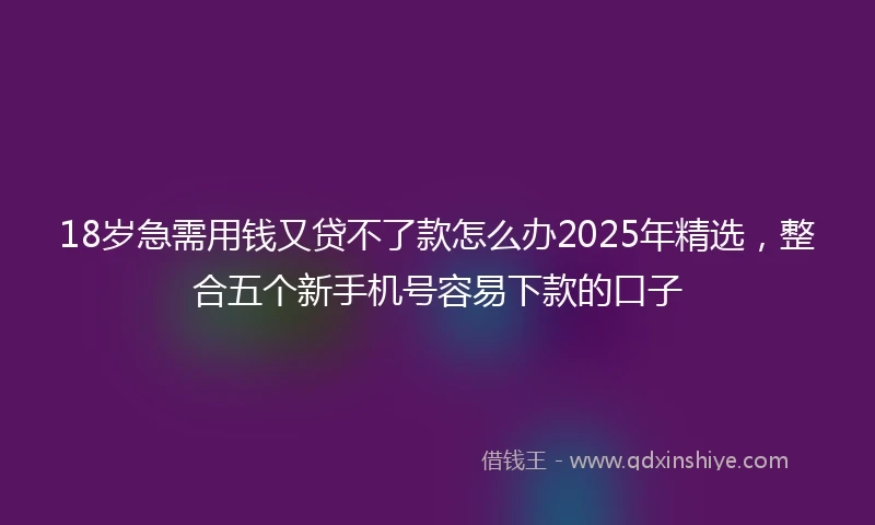 18岁急需用钱又贷不了款怎么办2025年精选，整合五个新手机号容易下款的口子