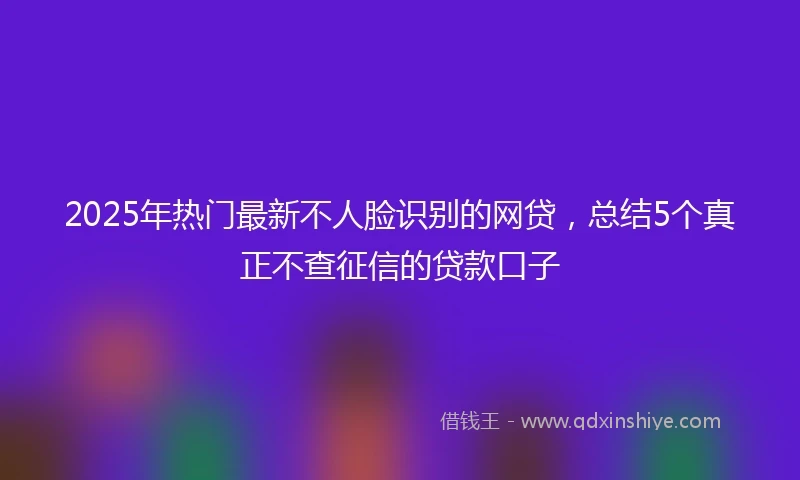 2025年热门最新不人脸识别的网贷，总结5个真正不查征信的贷款口子