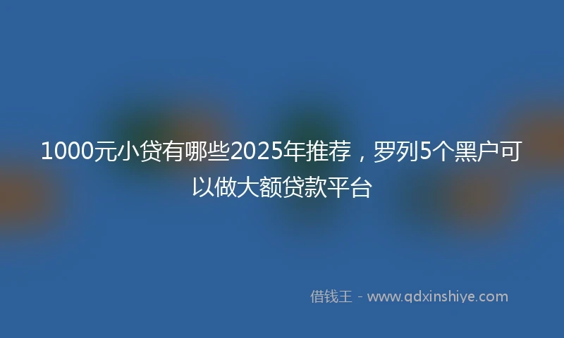 1000元小贷有哪些2025年推荐，罗列5个黑户可以做大额贷款平台
