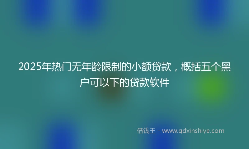 2025年热门无年龄限制的小额贷款，概括五个黑户可以下的贷款软件