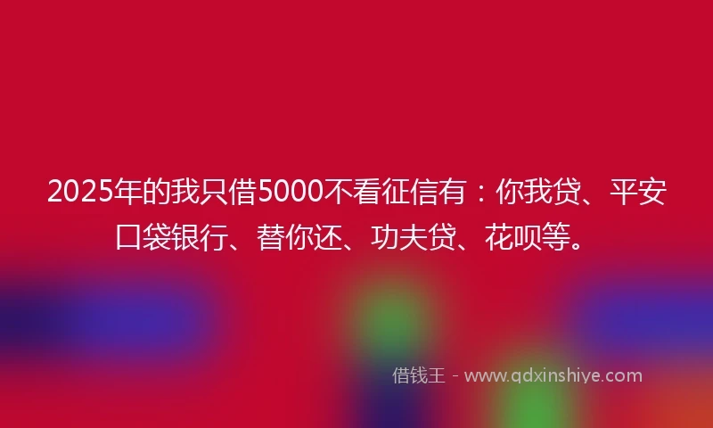 2025年的我只借5000不看征信有：你我贷、平安口袋银行、替你还、功夫贷、花呗等。
