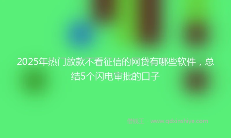 2025年热门放款不看征信的网贷有哪些软件，总结5个闪电审批的口子