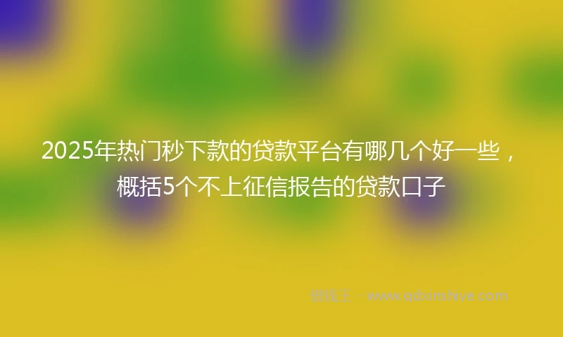 2025年热门秒下款的贷款平台有哪几个好一些，概括5个不上征信报告的贷款口子