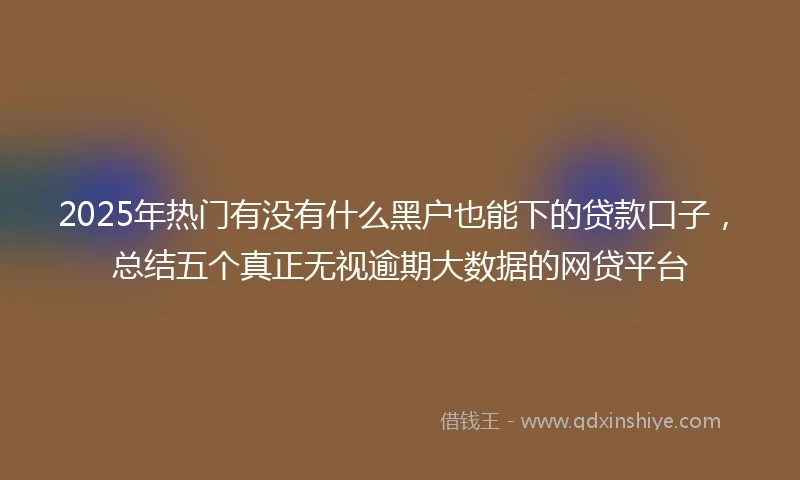2025年热门有没有什么黑户也能下的贷款口子，总结五个真正无视逾期大数据的网贷平台