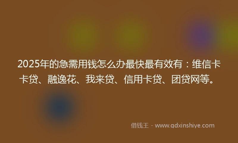 2025年的急需用钱怎么办最快最有效有：维信卡卡贷、融逸花、我来贷、信用卡贷、团贷网等。