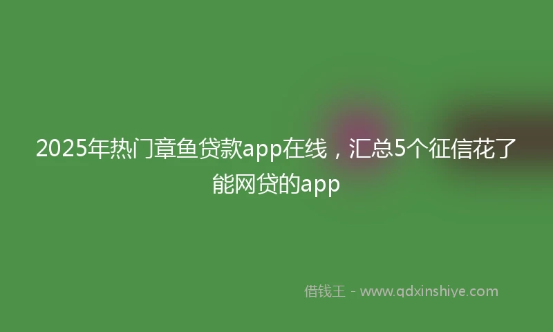 2025年热门章鱼贷款app在线，汇总5个征信花了能网贷的app