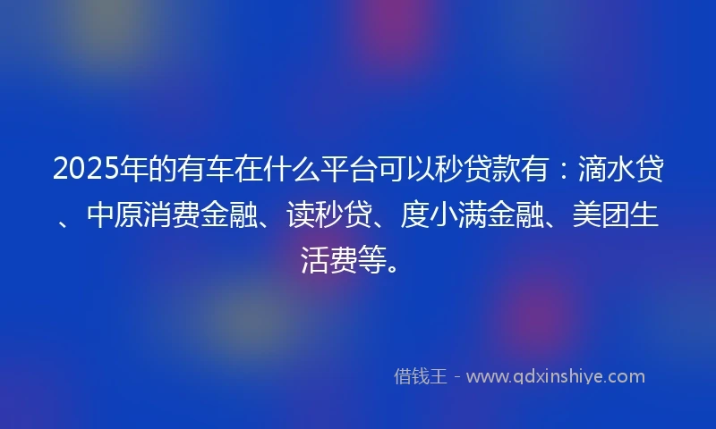 2025年的有车在什么平台可以秒贷款有：滴水贷、中原消费金融、读秒贷、度小满金融、美团生活费等。