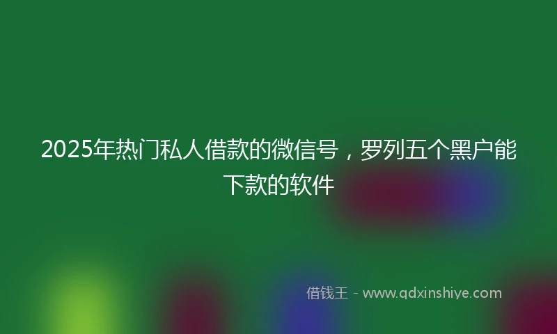 2025年热门私人借款的微信号,罗列五个黑户能下款的软件