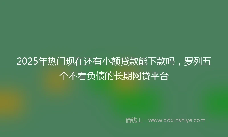 2025年热门现在还有小额贷款能下款吗，罗列五个不看负债的长期网贷平台