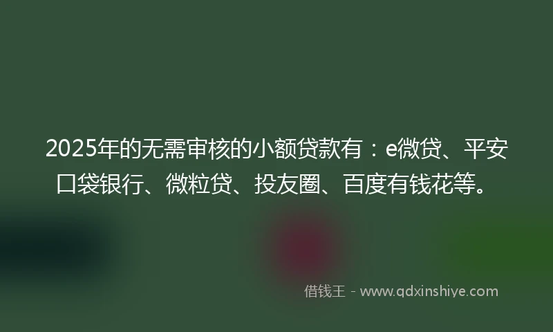 2025年的无需审核的小额贷款有：e微贷、平安口袋银行、微粒贷、投友圈、百度有钱花等。