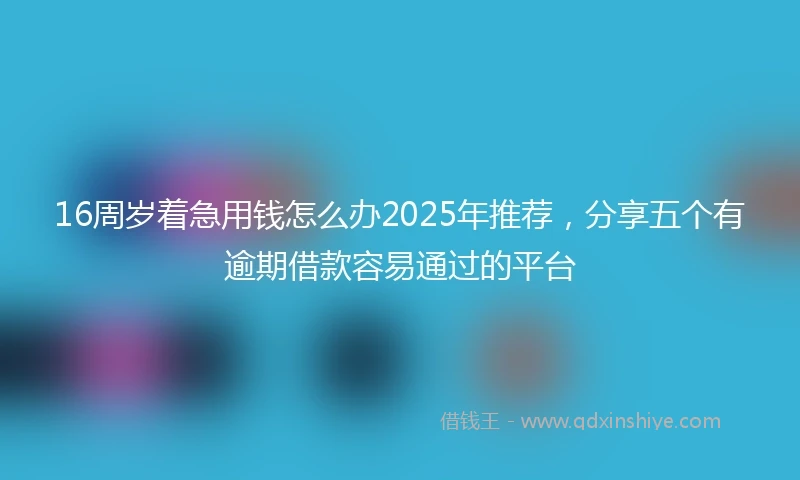16周岁着急用钱怎么办2025年推荐，分享五个有逾期借款容易通过的平台
