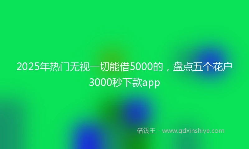 2025年热门无视一切能借5000的，盘点五个花户3000秒下款app