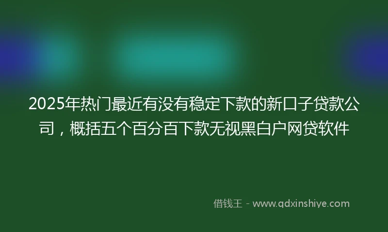 2025年热门最近有没有稳定下款的新口子贷款公司，概括五个百分百下款无视黑白户网贷软件