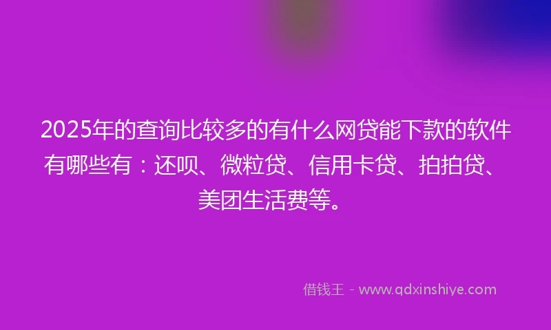 2025年的查询比较多的有什么网贷能下款的软件有哪些有：还呗、微粒贷、信用卡贷、拍拍贷、美团生活费等。