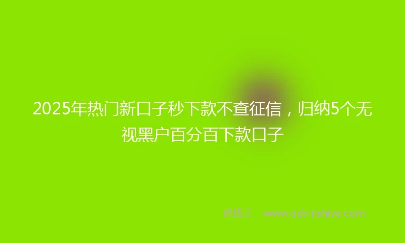 2025年热门新口子秒下款不查征信，归纳5个无视黑户百分百下款口子