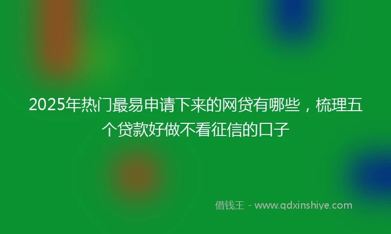 2025年热门最易申请下来的网贷有哪些，梳理五个贷款好做不看征信的口子