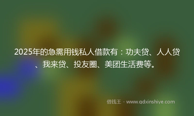 2025年的急需用钱私人借款有：功夫贷、人人贷、我来贷、投友圈、美团生活费等。