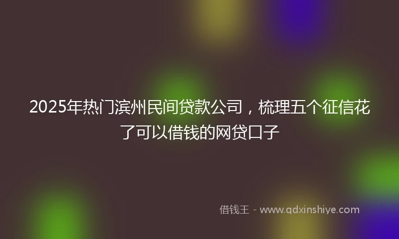 2025年热门滨州民间贷款公司，梳理五个征信花了可以借钱的网贷口子