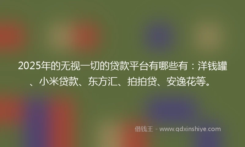 2025年的无视一切的贷款平台有哪些有：洋钱罐、小米贷款、东方汇、拍拍贷、安逸花等。