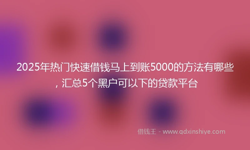 2025年热门快速借钱马上到账5000的方法有哪些，汇总5个黑户可以下的贷款平台