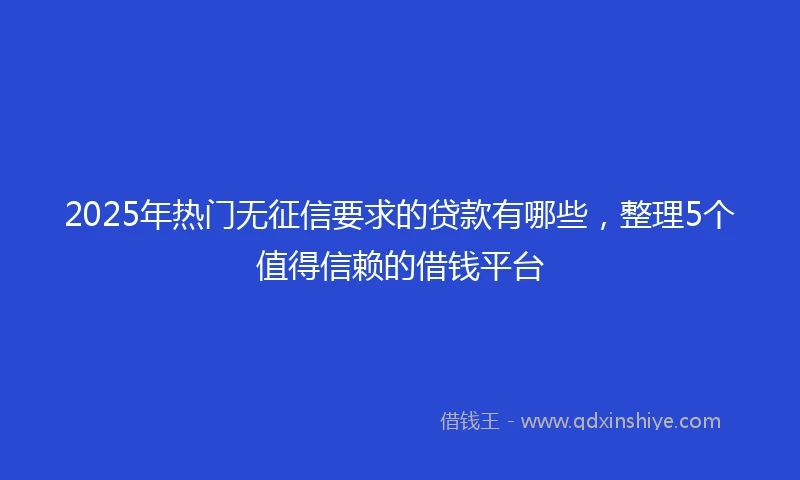 2025年热门无征信要求的贷款有哪些，整理5个值得信赖的借钱平台