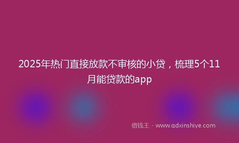 2025年热门直接放款不审核的小贷，梳理5个11月能贷款的app