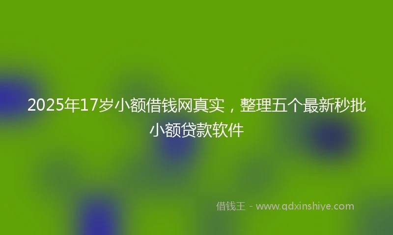 2025年17岁小额借钱网真实，整理五个最新秒批小额贷款软件